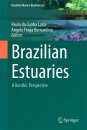 Brazilian Estuaries