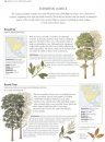 The Illustrated Encyclopedia of Trees of Britain and Europe