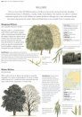 The Illustrated Encyclopedia of Trees of Britain and Europe