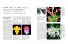 Orchids – A Practical Guide for Gardeners