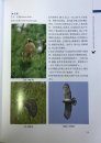 A Guide to the Birds of Anhui [Chinese]