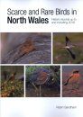 Scarce and Rare Birds in North Wales