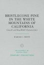 Bristlecone Pine in the White Mountains of California