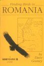Finding Birds in Romania