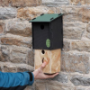 Eco Small Bird Box