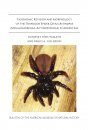 Taxonomic Revision and Morphology of the Trapdoor Spider Genus Actinopus (Mygalomorphae, Actinopodidae) in Argentina