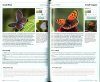 RSPB British Naturefinder