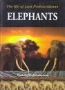 The Life of Last Proboscideans: Elephants
