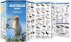 Australian Birds
