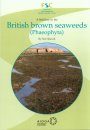A Field Key to the British Brown Seaweeds (Phaeophyta)