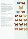 Butterflies of the Holarctic Region, Part 3