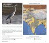 Indian Bird Migration Atlas