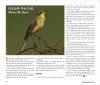 Indian Bird Migration Atlas