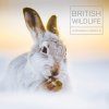 British Wildlife Photography Awards, Collection 9
