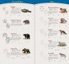 Animal Tracks of the Rocky Mountains