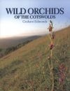 Wild Orchids of the Cotswolds