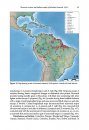 ZooKeys 659: Taxonomic Revision and Cladistic Analysis of Avicularia Lamarck, 1818 (Araneae, Theraphosidae, Aviculariinae) with Description of Three New Aviculariine Genera