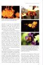 A Guide to Native Bees of Australia