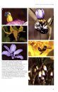 A Guide to Native Bees of Australia