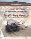Fossils from Morocco, Volume 1: Emblematic Localities from the Palaeozoic of the Anti-Atlas / Fossiles du Maroc, Volume 1: Gisements Emblématiques du Paléozoïque de l'Anti-Atlas