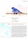 Birds of Nunavut (2-Volume Set)