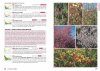 Field Guide to Fynbos