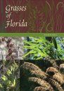 Grasses of Florida