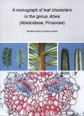 A Monograph of Leaf Characters in the Genus Abies (Abietoideae, Pinaceae)