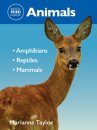 Reed Mini Guide: Animals