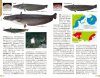 The Natural History of the Fishes of Japan [Japanese]