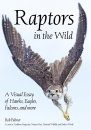 Raptors In The Wild