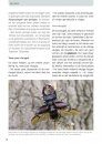 Veldgids Kevers van Europa [Guide to the Beetles of Europe]