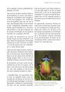 Veldgids Kevers van Europa [Guide to the Beetles of Europe]