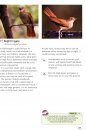 RSPB Guide to Birdsong
