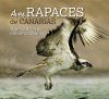 Raptors of the Canary Island / Aves Rapaces de Canarias