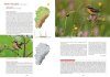 Les Oiseaux de Franche-Comté: Répartition, Tendances et Conservation [The Birds of Franche-Comté: Distribution, Trend and Conservation]