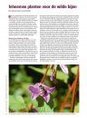 Planten van Hier: Praktijkboek voor een Duurzame Leefomgeving met Inheemse Flora [Plants from Here: Practical Guide to a Sustainable Environment with Native Flora]