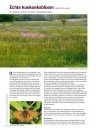 Planten van Hier: Praktijkboek voor een Duurzame Leefomgeving met Inheemse Flora [Plants from Here: Practical Guide to a Sustainable Environment with Native Flora]