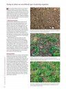 Planten van Hier: Praktijkboek voor een Duurzame Leefomgeving met Inheemse Flora [Plants from Here: Practical Guide to a Sustainable Environment with Native Flora]