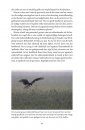 De Man op de Dijk: Het Grenzeloze Verhaal van de Grauwe Kiekendief [The Man on the Dyke: The Boundless Story of the Montagu's Harrier]