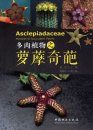 Asclepiadaceae: Miracle of Succulent Plants [Chinese]