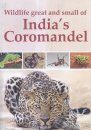 Wildlife Great and Small of India's Coromandel
