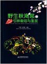 Cultivation and Appreciation of Wild Begonia [English / Chinese]