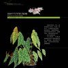 Cultivation and Appreciation of Wild Begonia [English / Chinese]