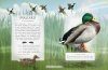 The Little Book of Wetland Bird Sounds