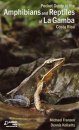 Pocket Guide to the Amphibians and Reptiles of La Gamba Costa Rica