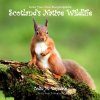 Draw Your Own Encyclopaedia: Scotland’s Native Wildlife