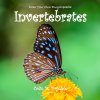 Draw Your Own Encyclopaedia: Invertebrates