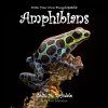 Draw Your Own Encyclopaedia: Amphibians