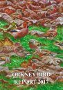 Orkney Bird Report 2017
